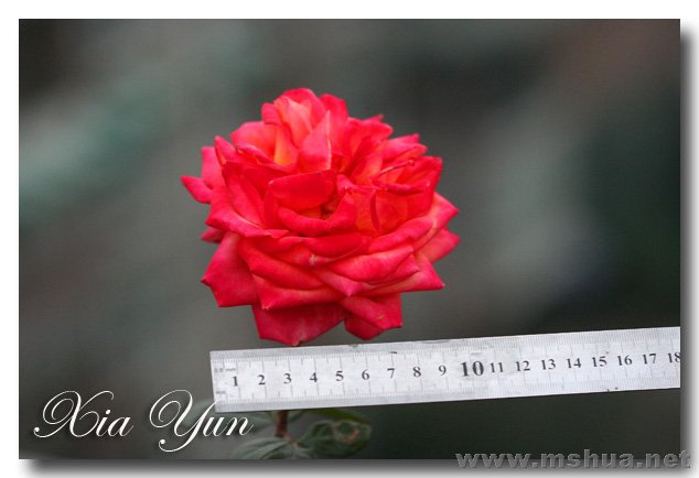 IMG_6288 ����.jpg