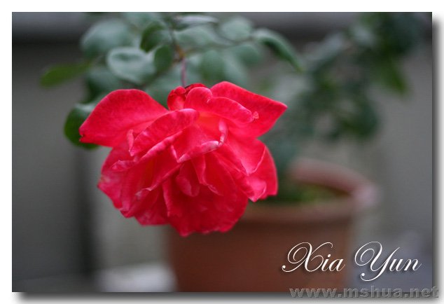 IMG_6234 ����.jpg