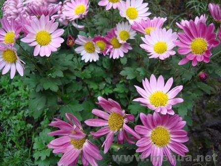 �ջ������������