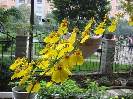 ����������������