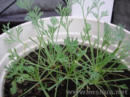 ����ݻ��ǲ�