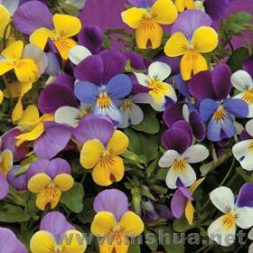 �������ϵĽ���