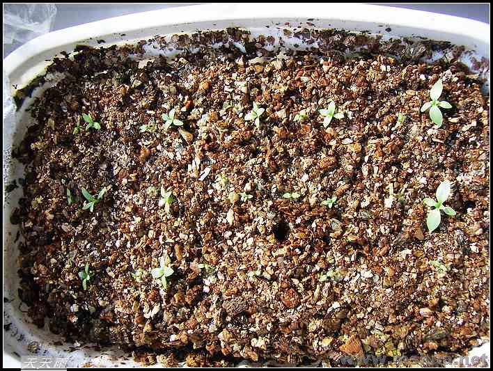 �����������Դ�С��ͬ