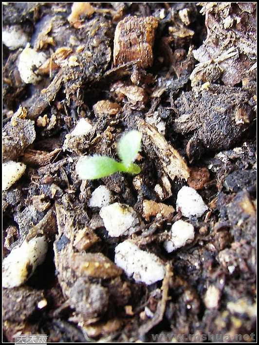 ֻ����1���ոպ�