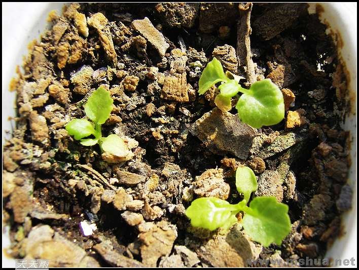 �ٲ���ϣ���ܿ�������