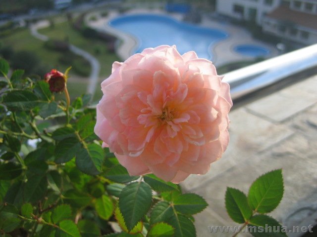 �Ҽҵ�С�¼�,�Ǻ�,���Ӵ,ֻҪ��Ԫ