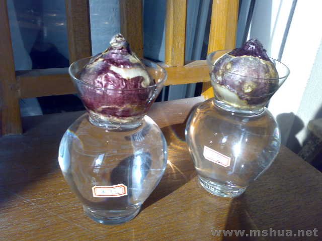 200711061203.jpg