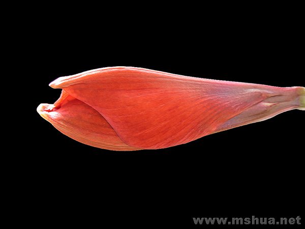 DSCN5507.jpg