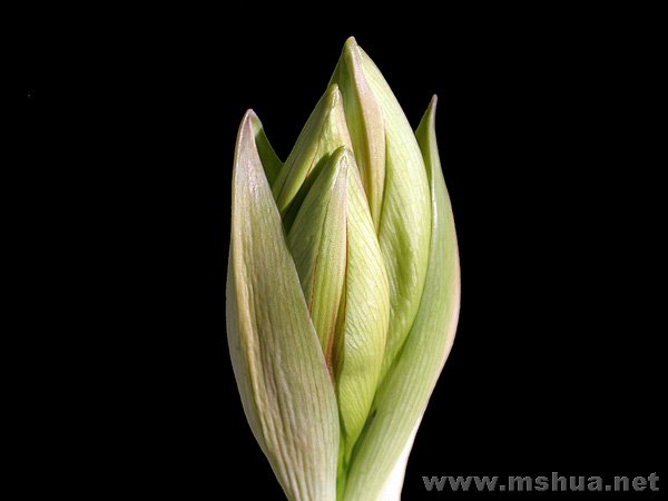 DSCN8450.JPG