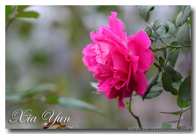 IMG_6565 ����.jpg