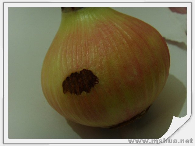 �Ǹ��ڰ��Ǹ�Ӳ��