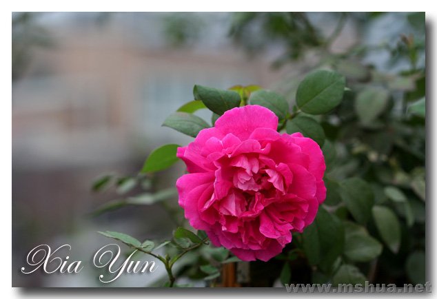 IMG_6567 ����.jpg