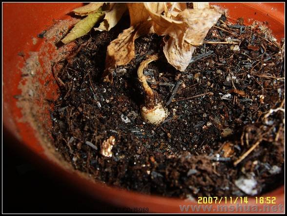 ���������������