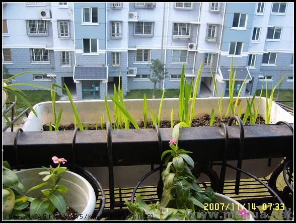 �����裬������ǰ�õ�Ҫ��Щ