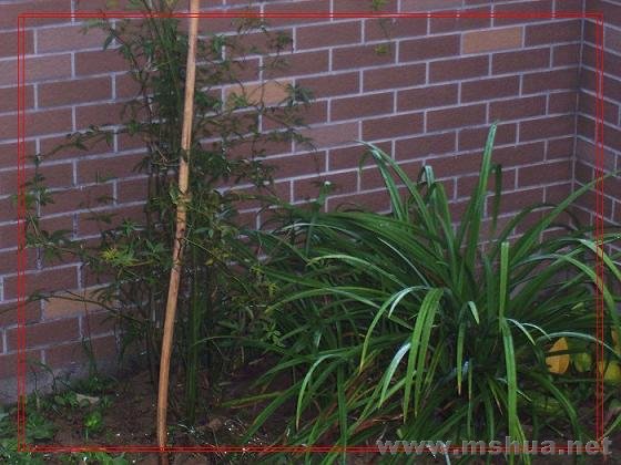 ��Ƭ 196_nEO_IMG.jpg