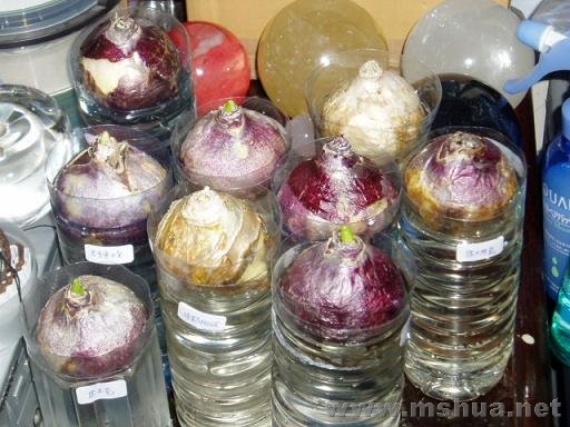 �����Ӿ�ȫ��ˮ��