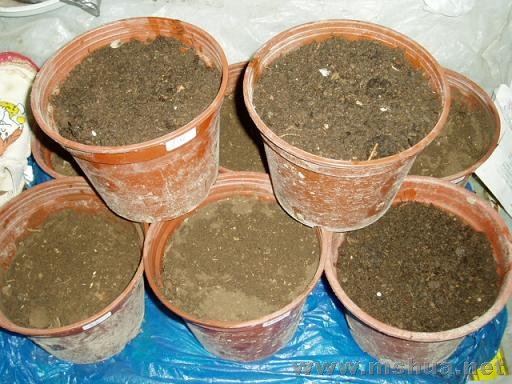 С��,����,��ȫ��������..8����,�ô�һ��..�����п黨��