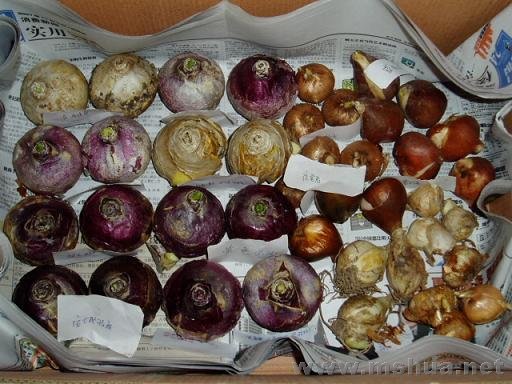 �������ȫ�Ҹ���