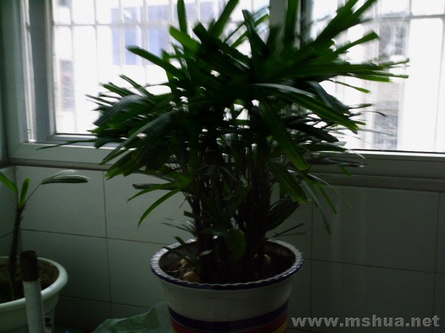 PIC00020.JPG