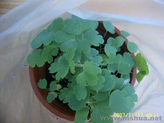 �ˡ�����