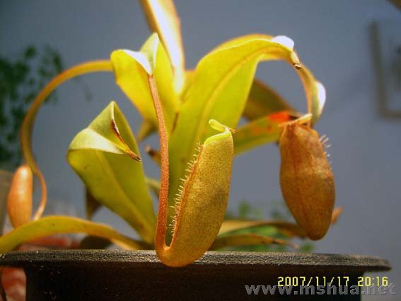 ��1�ţ������