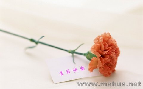 ������С �廨10a.jpg