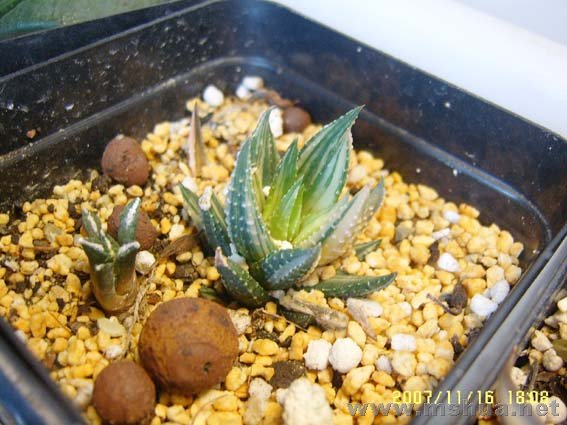 ���߽�ǽ��ͼ�ĵ��