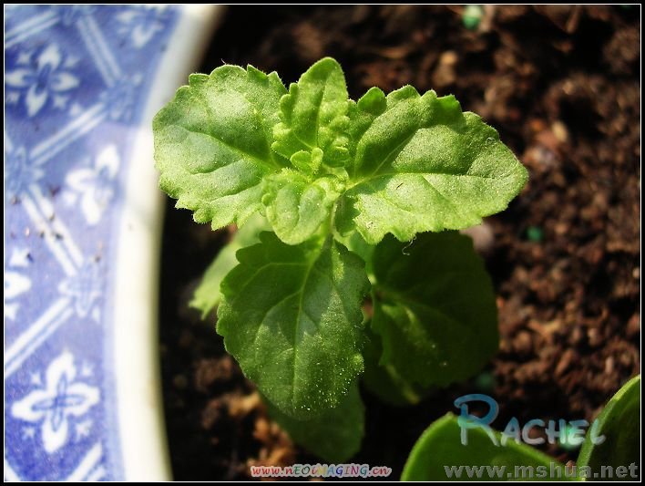 ����һ�ܺ�������һ�£�����仯����