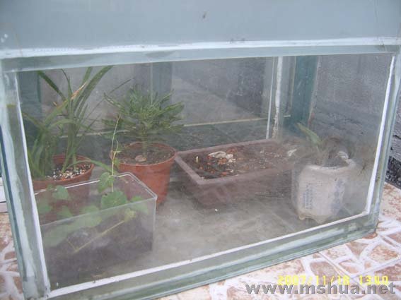 ���ң�Ҫ�����¶���