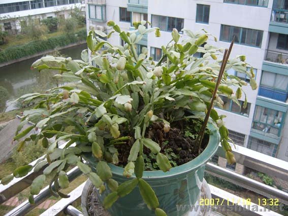 �տ�ʼ�л�������