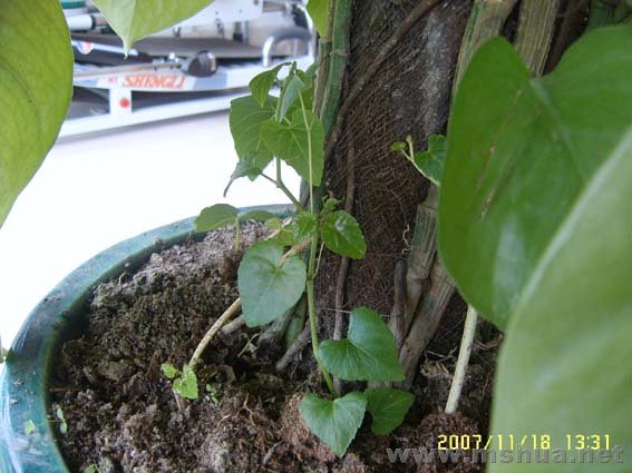 �������