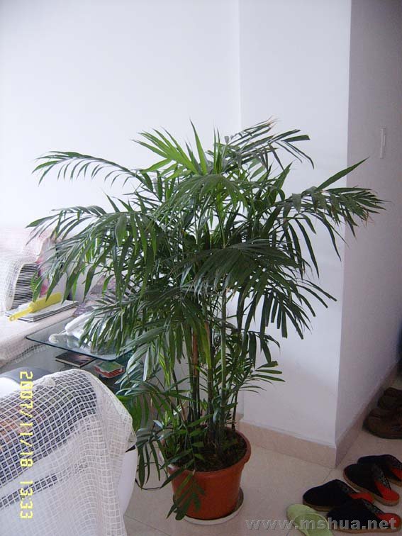 �绰���ϵ�