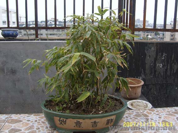 �����Ȼ������޺���