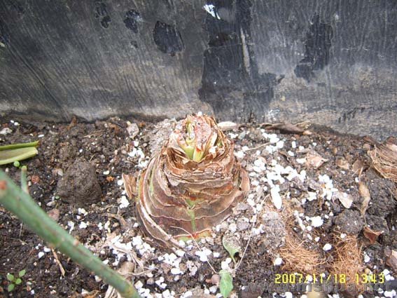 ��ʵ�������ʺ�ϣ��������