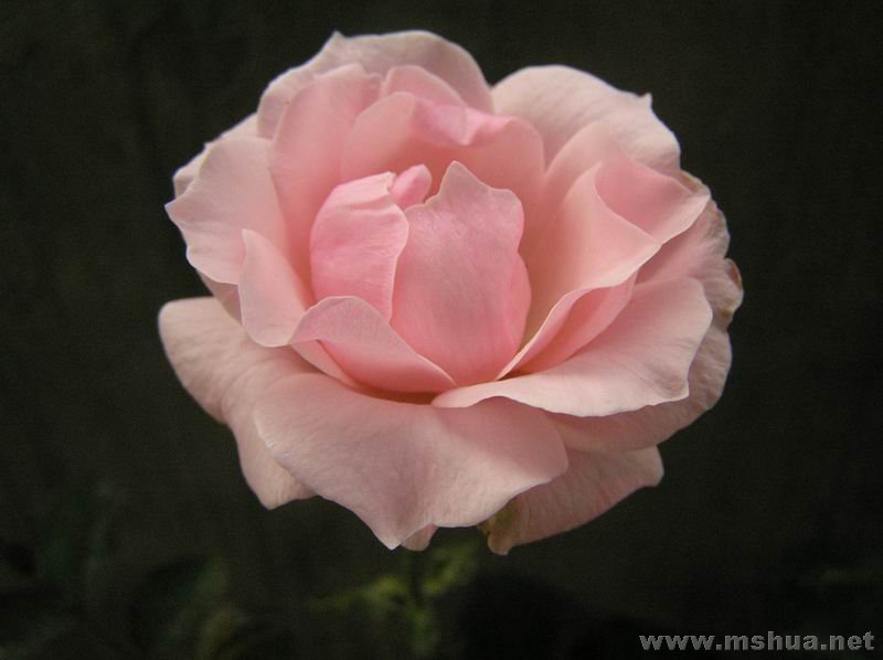 �ǲ��Ǳ�����