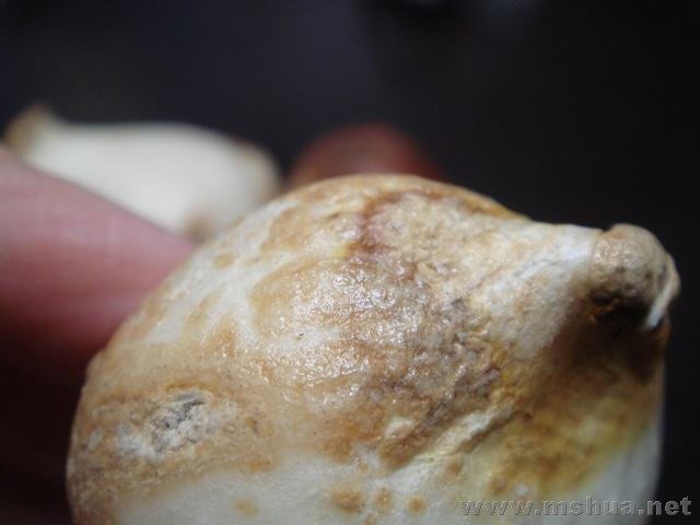 �е�����������