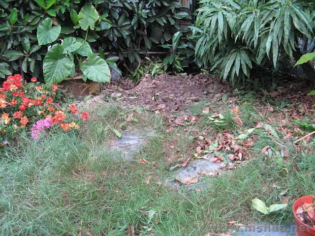 ����ȥ�İ���������