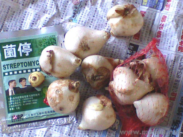 �򿪰�������Ķ���