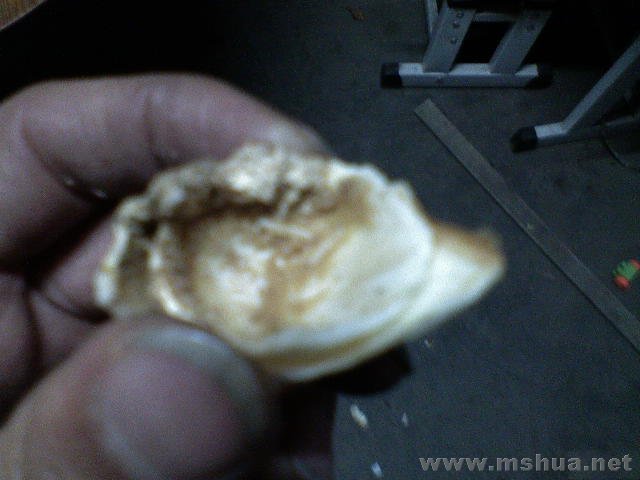 �Ÿ�PP����3����֪�������ܿ�������