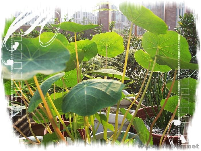 ��Ƭ 426_nEO_IMG.jpg