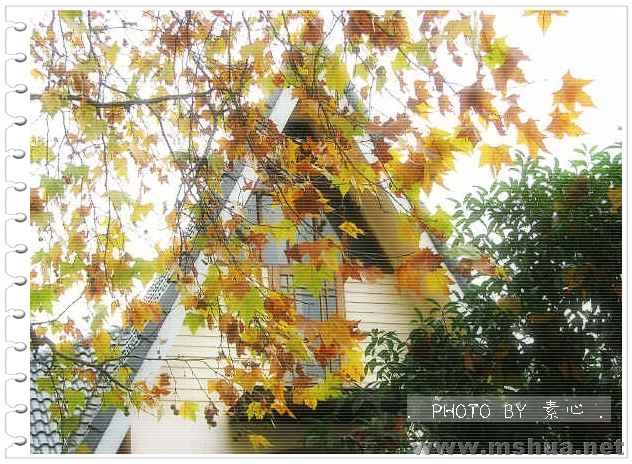 ����������ɲ����Ҽ�Ŷ~