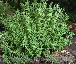 ��Դ���硣����ʵ��ͼ��ȱ��