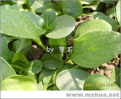 ������...