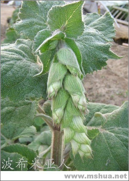 ��ֵĻ���....���ҵġ����ס�...�������������ձ顣