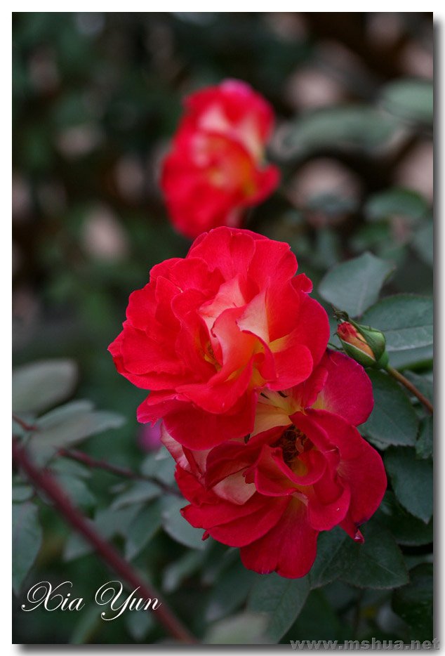 IMG_8644 ����.jpg