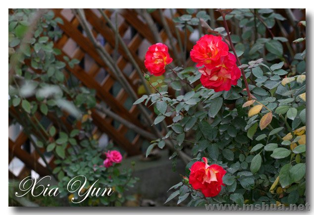 IMG_8640 ����.jpg