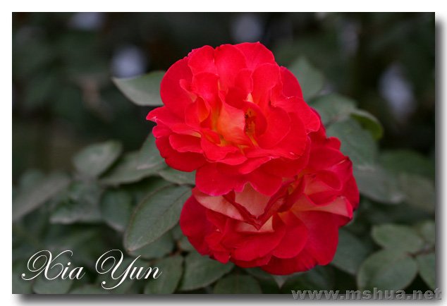 IMG_8643 ����.jpg