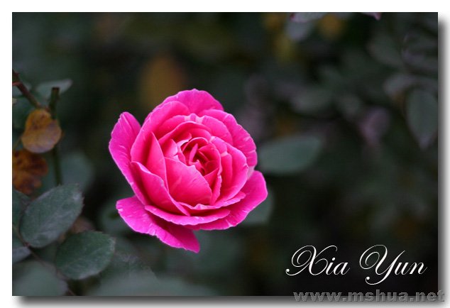 IMG_7316 ����.jpg