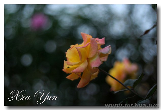 IMG_7326 ����.jpg