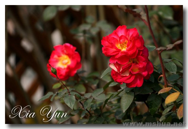 IMG_8655 ����.jpg